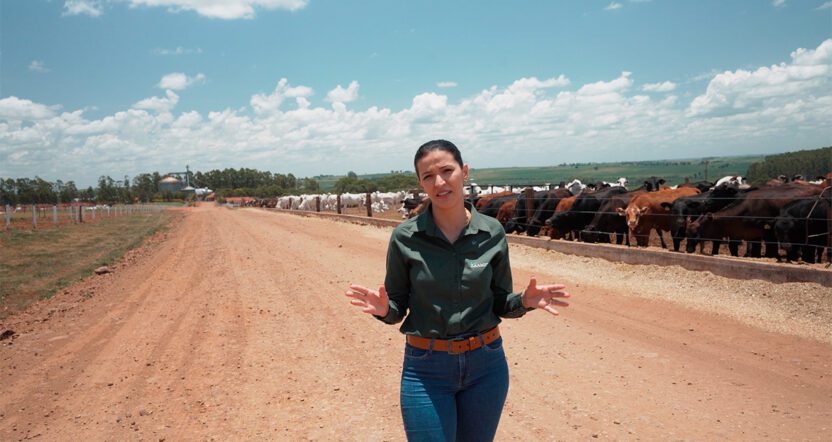 Confinamento Eficiente Como as Extrusoras ZAAMP Estão Revolucionando a Nutrição Animal no Brasil