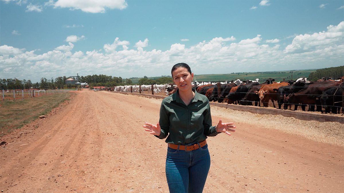 Confinamento Eficiente Como as Extrusoras ZAAMP Estão Revolucionando a Nutrição Animal no Brasil