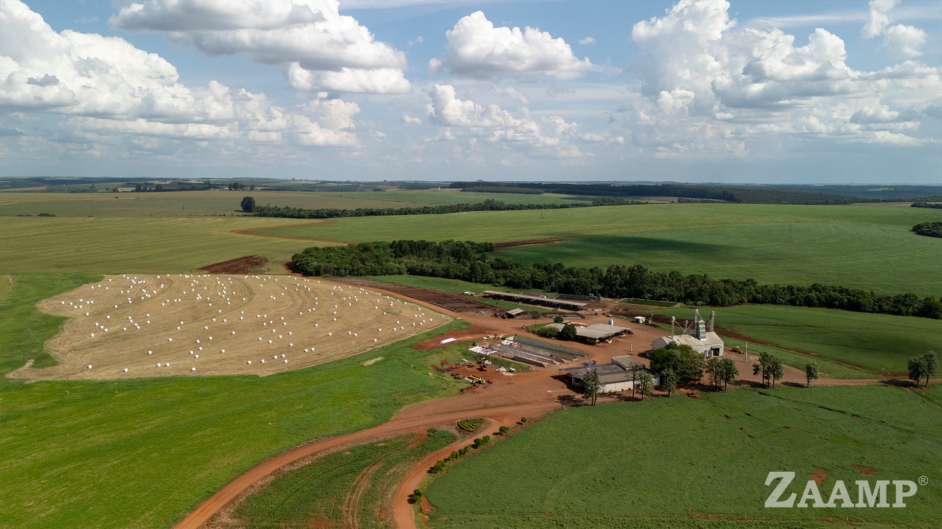 Confinamento de Gado de Corte em Cascavel–PR