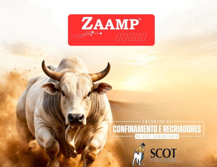 NOTICIAS CRIATIVOS PARA SITE (13)