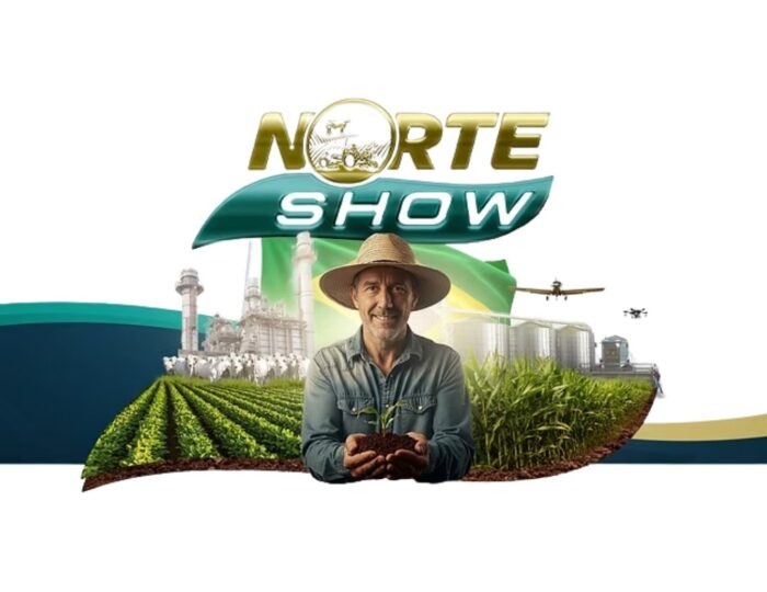 NOTICIAS CRIATIVOS PARA SITE (1)