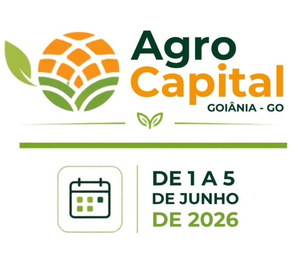 NOTICIAS CRIATIVOS PARA SITE (7)