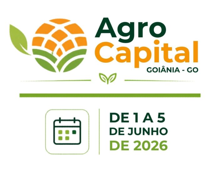 NOTICIAS CRIATIVOS PARA SITE (7)